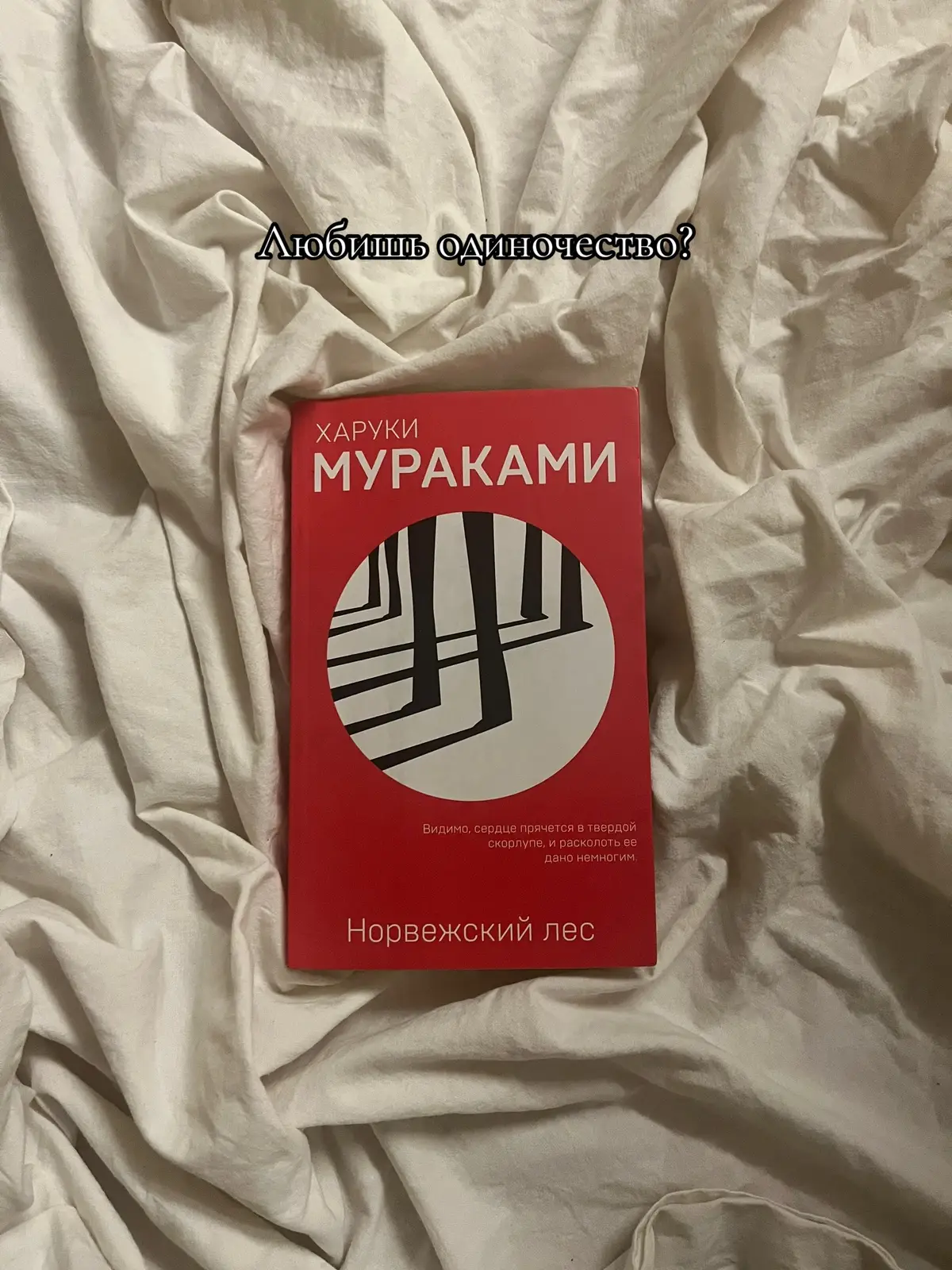 #норвежскийлес 💔💔// #книги #букток #харукимураками #книжныйтикток #рек #рекомендации #японскаялитература #рекомендации #всемдобра 