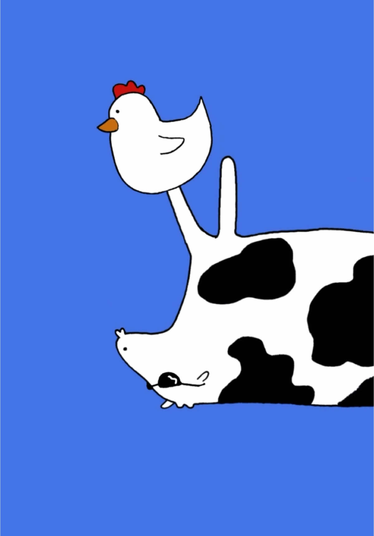 Just winging it 🐔 #cows #onecowaday #fyp #chickens #drawing #illustration #animation #silly 