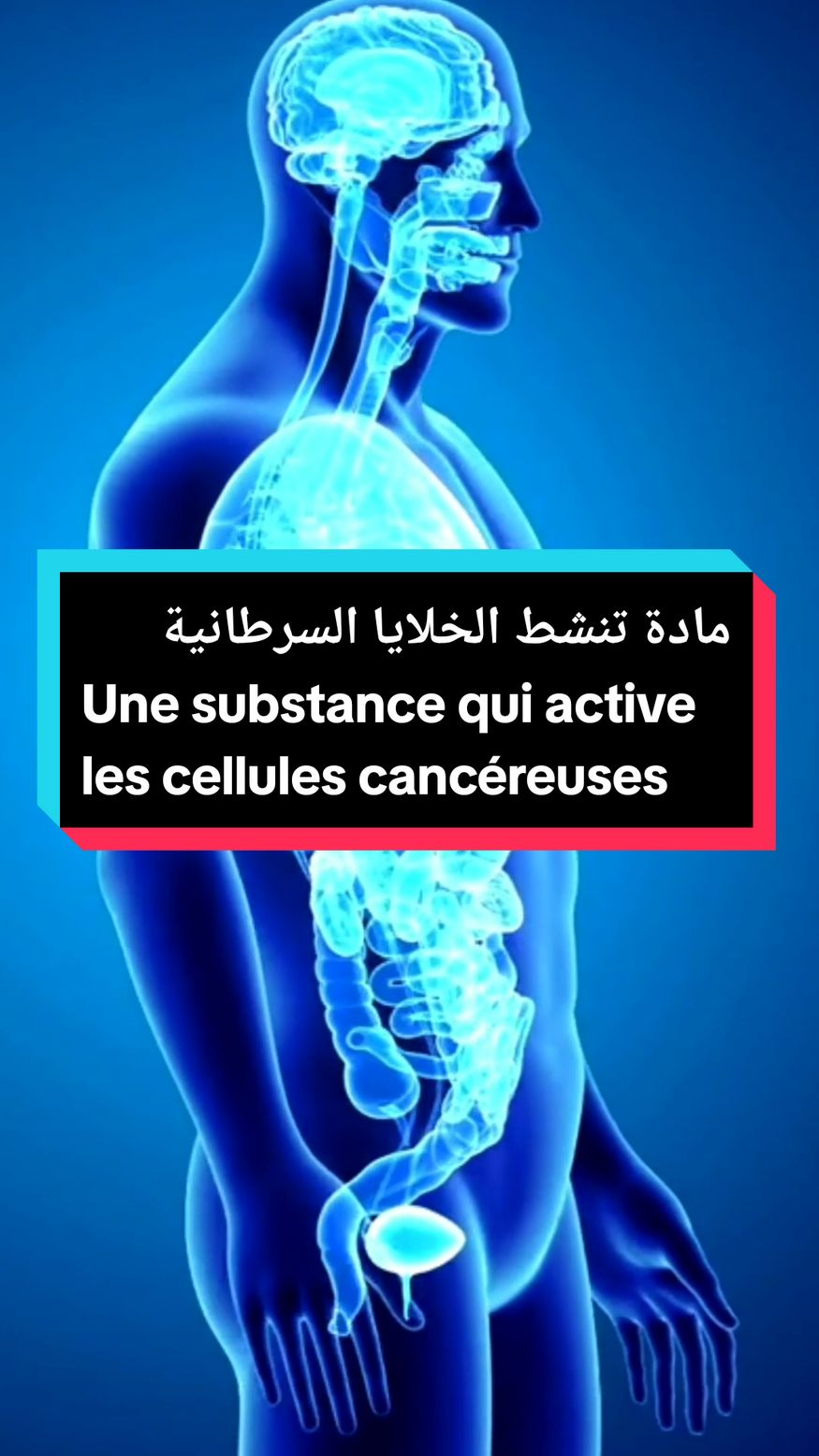 La nicotine active les cellules cancéreuses dans tous les organes du corps#cancer  مادة النيكوتين تنشط الخلايا السرطانية في جميع أعضاء الجسم #التدخين  #سرطان_الدم #سرطان_الرئة #germany🇩🇪 #france🇫🇷 #Clinique_AM 