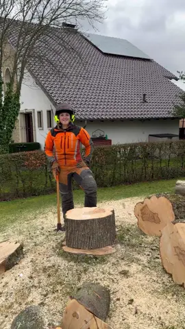 Firewood splitting 😜 maple tree ✌️ #firewood #timber #axe #femalelumberjack #workout 