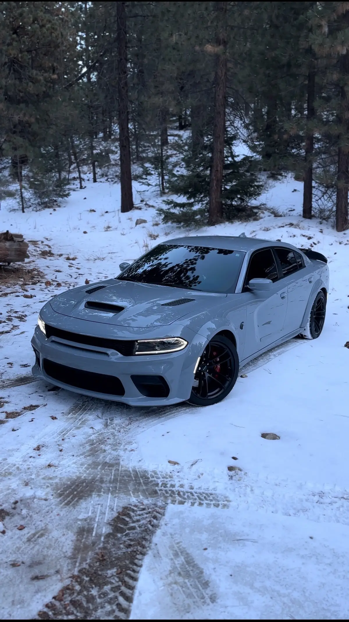 #widebodyhellcat #hellcat #dodge #cars #explore 