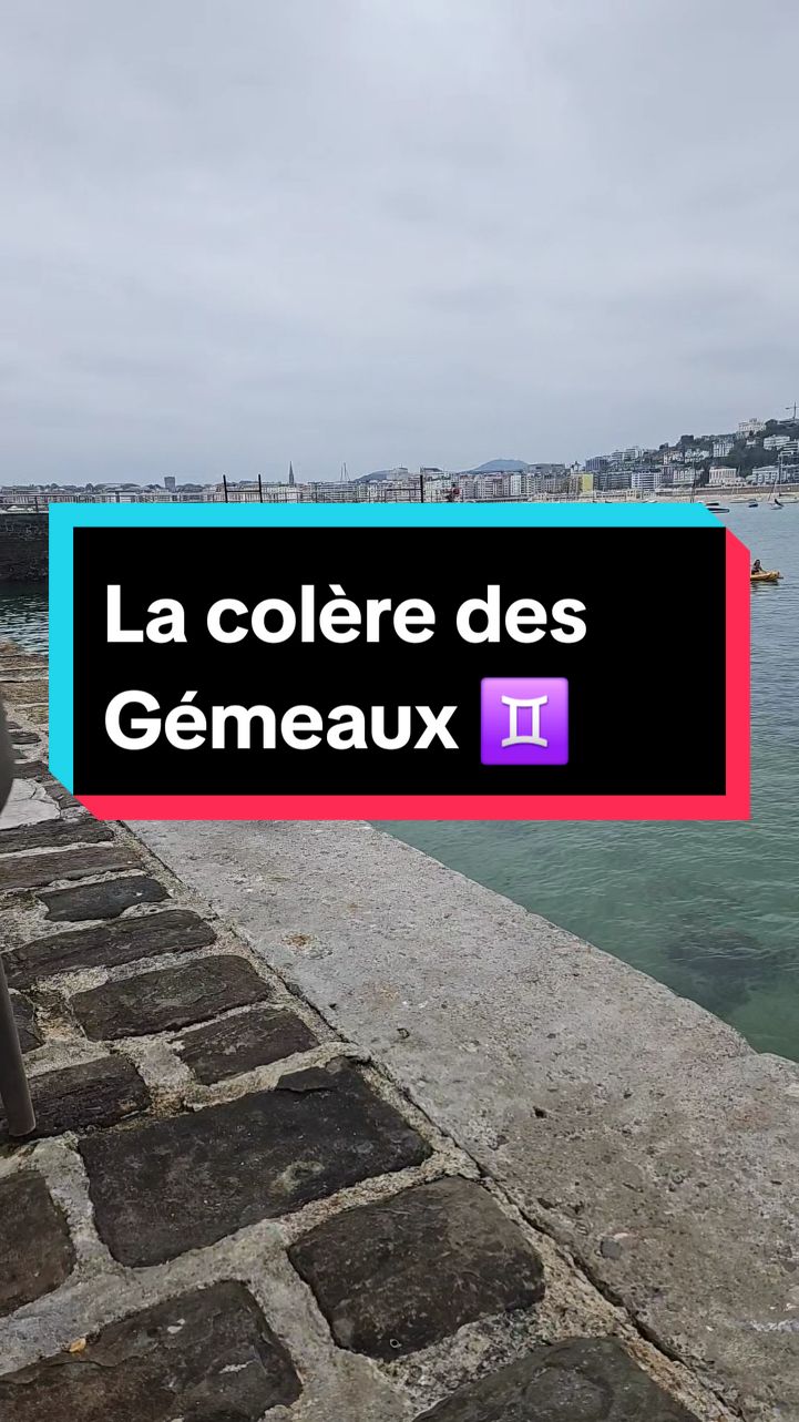 Quand les Gémeaux sont en colère... ils peuvent détruire les autres rien qu'avec leurs mots ... #gemeaux #astrologie #signeastrologique #astro 