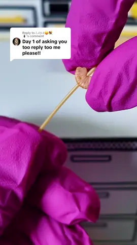 Replying to @𝐿𝒜𝒴𝒜😝💐                🪳 #foryoupage #minitoys #miniaturefood #miniverse #miniversecreator 