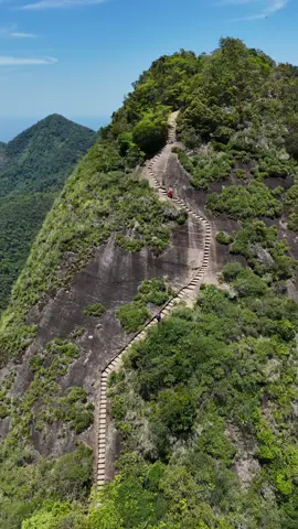 🍃 RJ é diferenciado! ⭐️ Floresta da Tijuca, uma das maiores florestas urbanas do mundo 📍Pico da Tijuca, 1.021 metros de altitude 🇧🇷 117 degraus construídos em 1920 #brasil #montain #tour #trip #traveltiktok #nature #vibes 