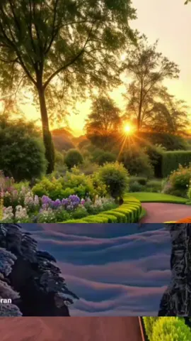 #Best Quran Recitation  #beautiful_Quran  #shorts videos status  قرآن كريم راحة نفسية# مشار راشد# #mishary_rashid_alafasy 