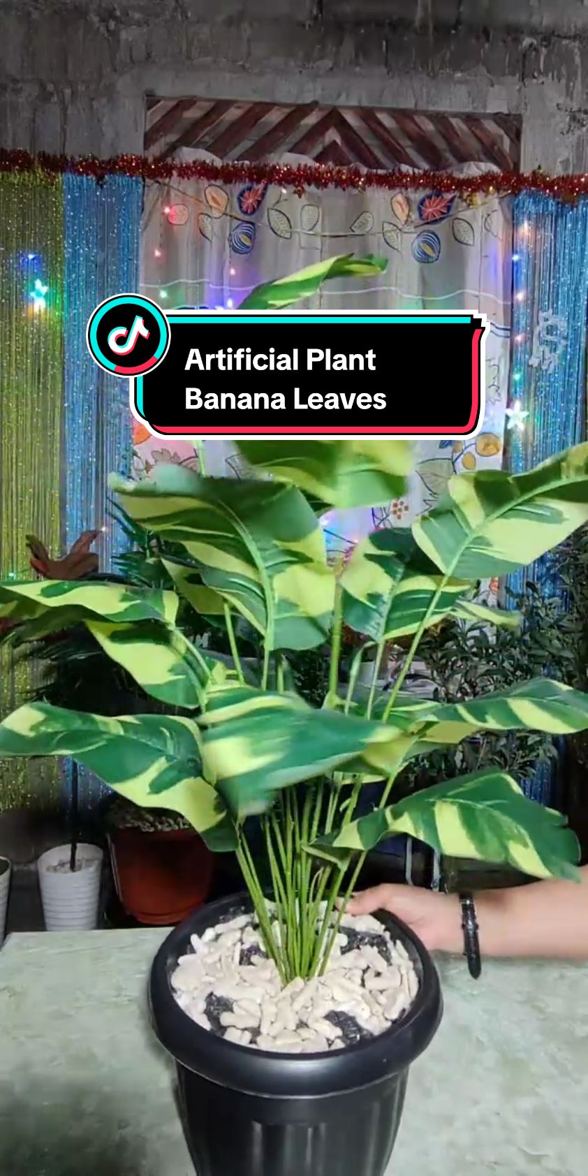 #LIVEhighlights #TikTokLIVE #LIVE #artificialplant #homedecor 