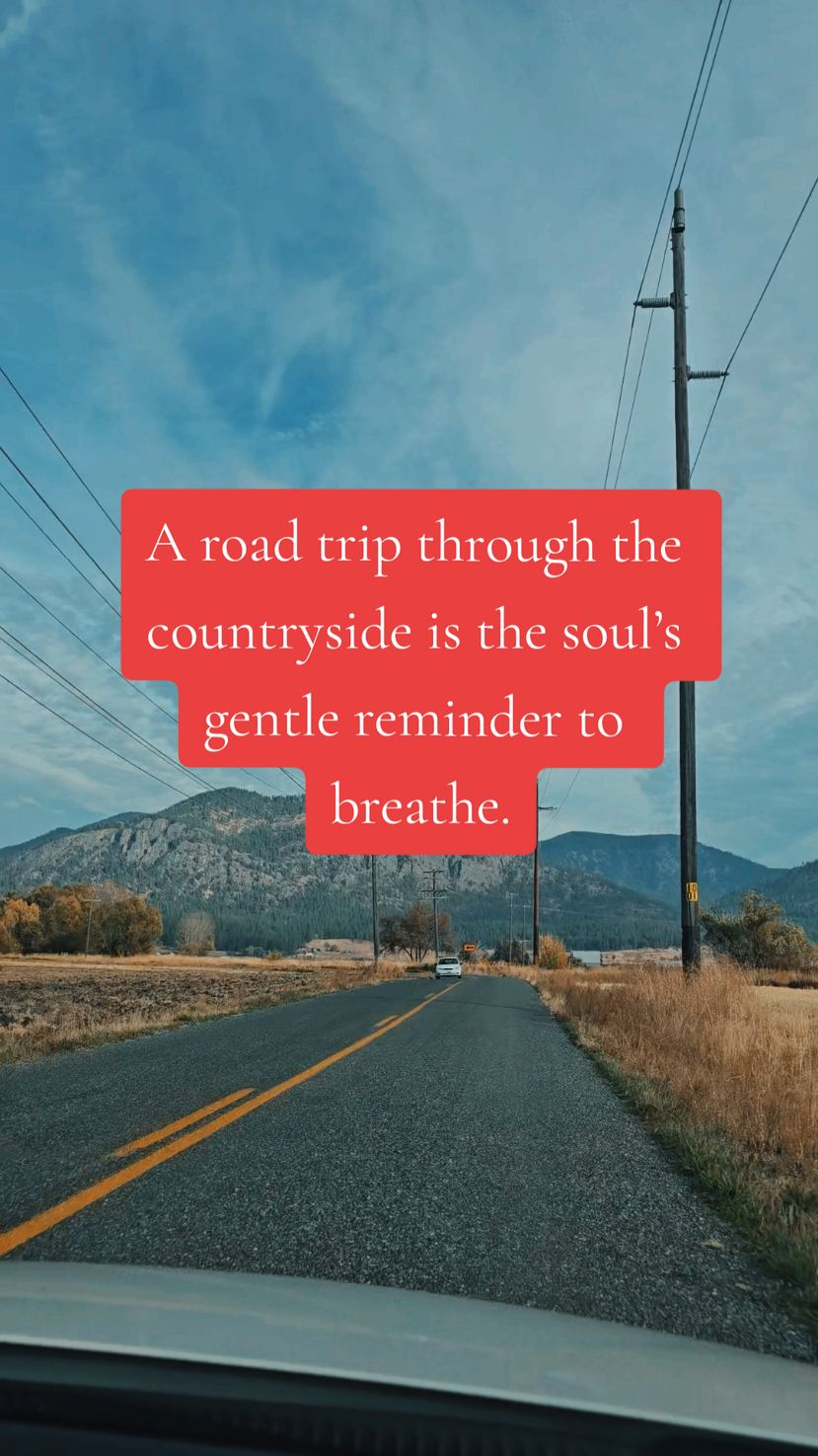 A road trip through the countryside is the soul’s gentle reminder to breathe. #roadtrip #countryside #mountainview #foryoupage 