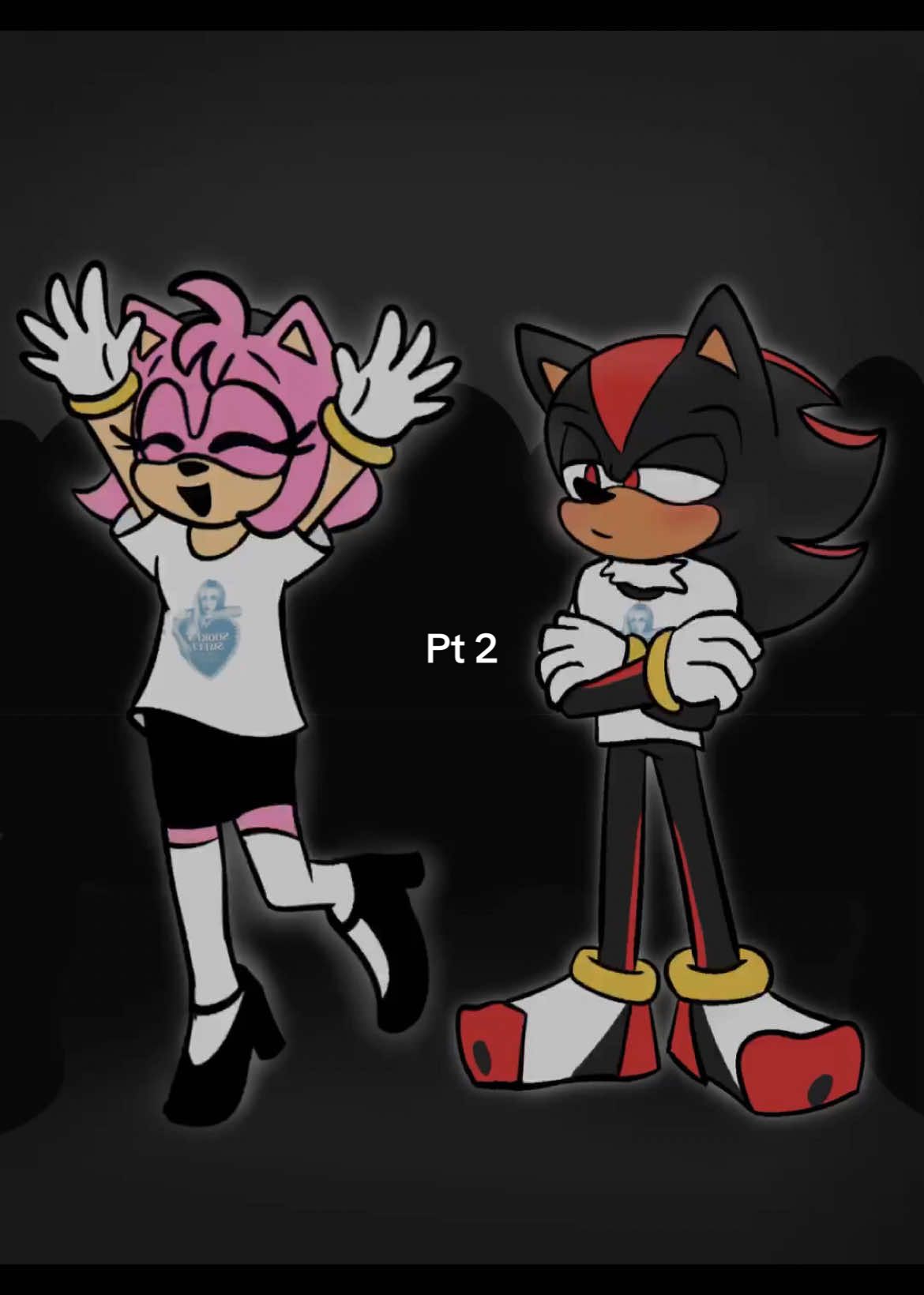 Shadamy concert going pt 2  Honestly i could put an infinite amount of songs over this and id still love it #amyrose #shadowthehedgehog #shadamy #sonic #sonicthehedgehog 