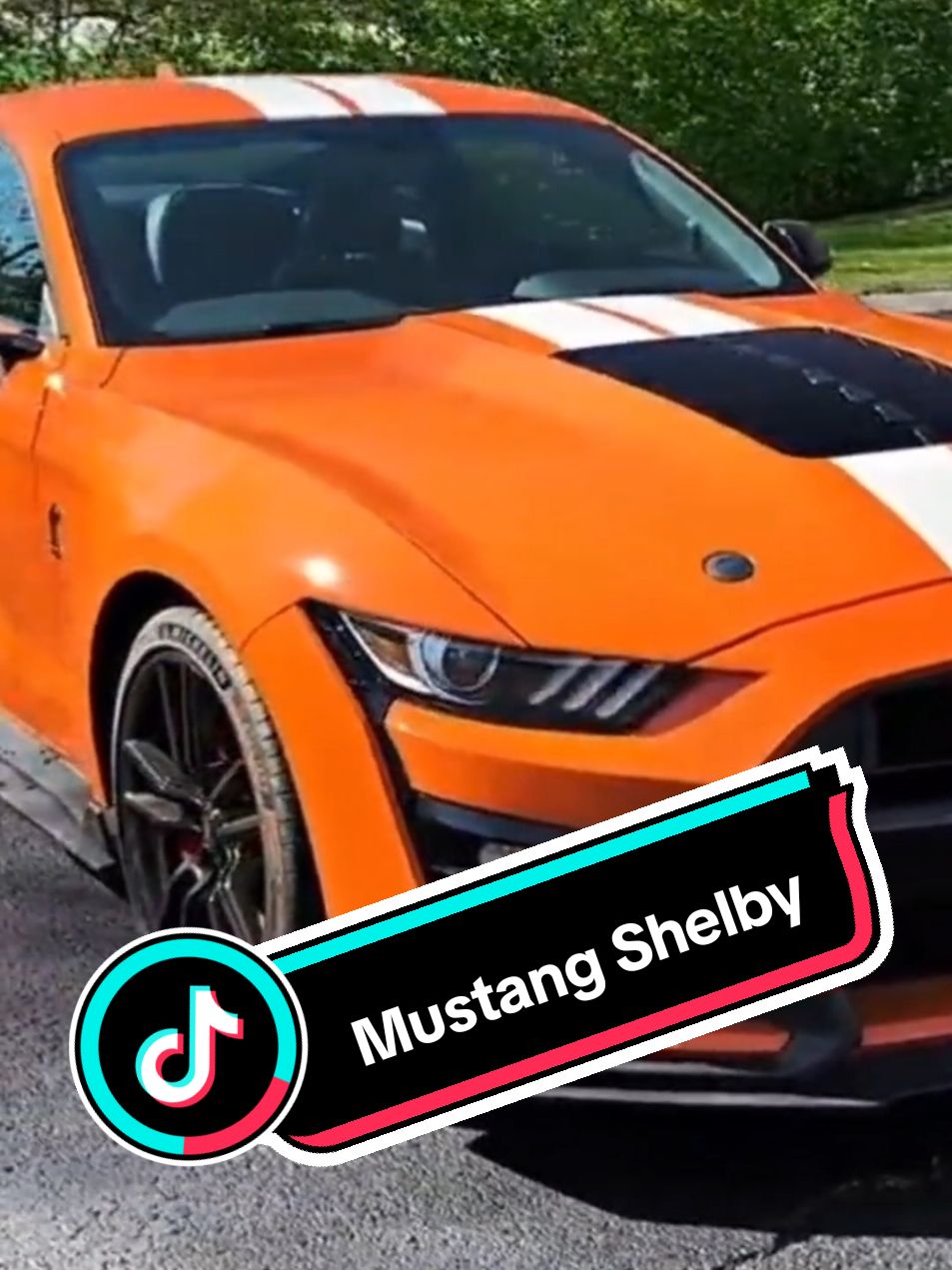 Mustang Shelby Gt500 Orange #mustang #carros #automotive 