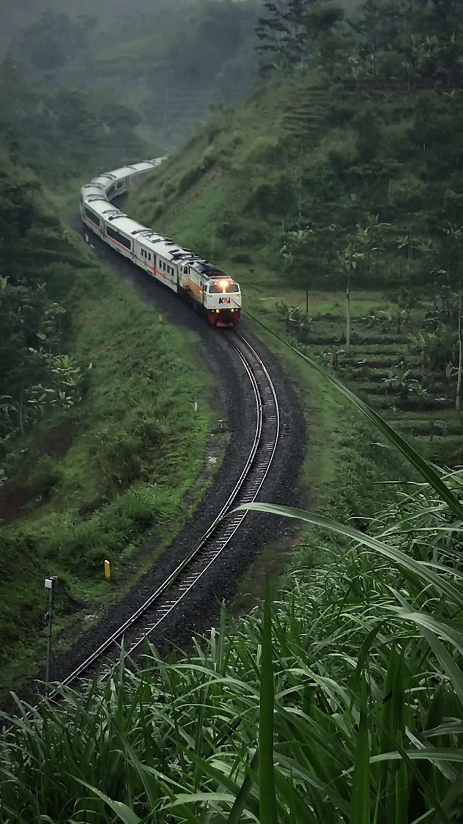 Ka Ciremai Semarang Tawang Bank Jateng - Bandung  #keretaapiindonesia #kai121 #sahabatkeretaapi 