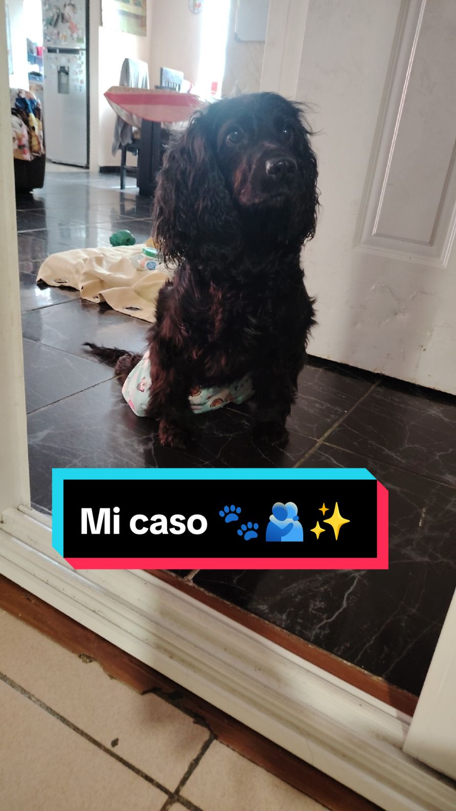 ¡Hola, amigos! Soy Neith, una perrita de 5 años que ha compartido momentos maravillosos con mi humana. Siempre he sido alegre y llena de energía, pero últimamente mis patitas traseras me están fallando y no puedo moverme como antes. Me han dicho que necesito una tomografía y algunos exámenes para descubrir qué me pasa y empezar un tratamiento que me ayude a sentirme mejor. El problema es que todo esto cuesta mucho, y mi humana no tiene los recursos para cubrirlo. Por eso, estoy aquí para pedir su ayuda. Con una donación, por pequeña que sea, estarán ayudándome a recibir la atención médica que necesito. También les agradezco muchísimo sus oraciones y buenas energías, que me llenan de esperanza. Si pueden ayudarme, aquí está el link: https://vaki.co/recaudacion-para-gastos-medicos-de-neith?utm_source=vaki.co&utm_medium=share-dialog&utm_campaign=share-dialog-v4.33.0. Gracias por todo el amor y apoyo. ¡Espero volver pronto a correr y disfrutar de la vida como antes! 🐾 #esperanza #cuatropataslove😉🐶🐕😍😍😍 #sonrisa #AmorAnimal #perrito #volveracaminar 