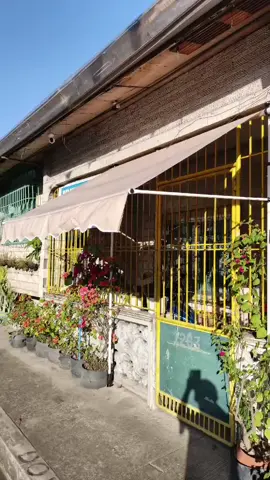 Sunshade Parasol Umbrella, Rain Canopy. #sunshade #parasol #umbrella #rain #canopy