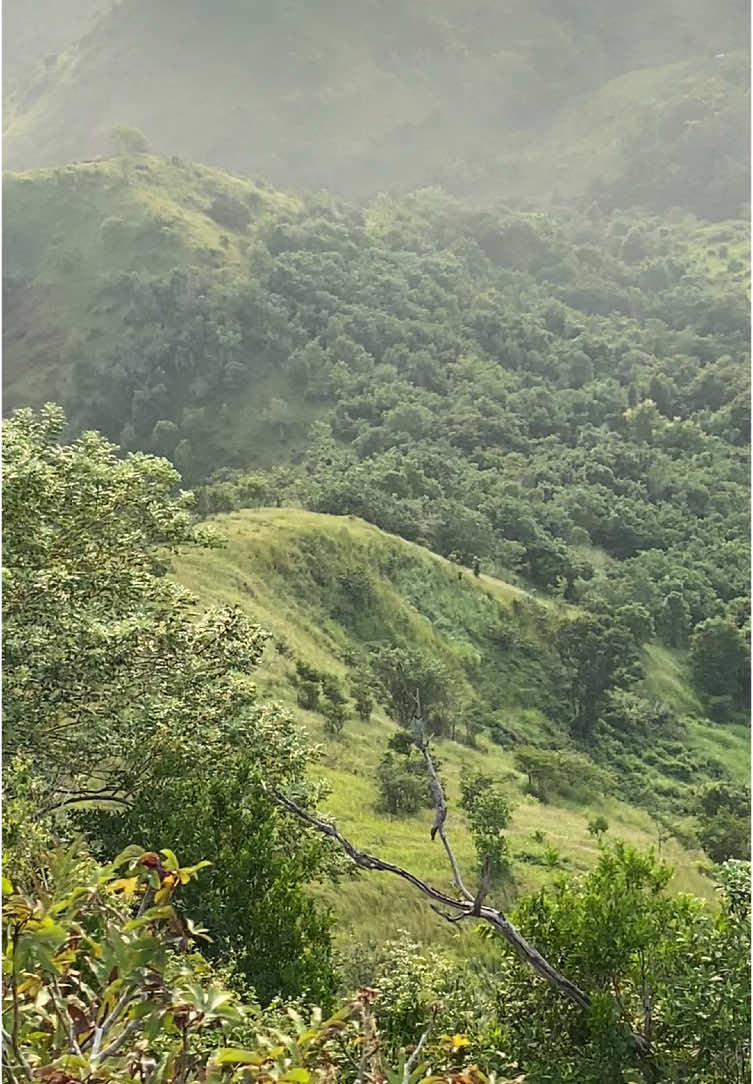 masyaAllah😍 #pendaki #pendakigunung #pendakiindonesia #mountain #xyzbca #foryou