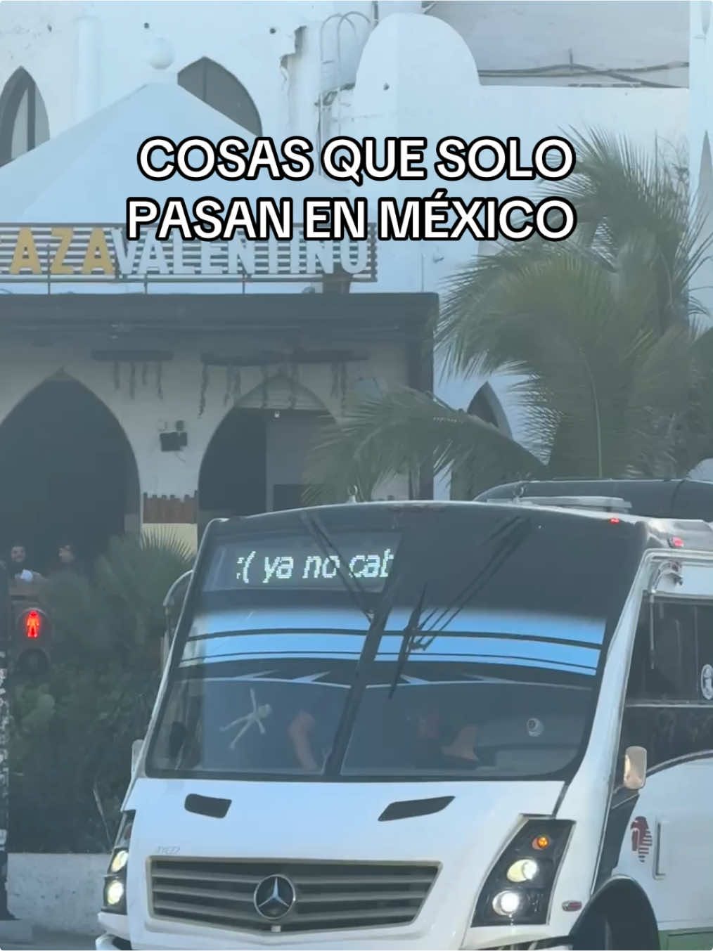 Bendito internet jajajajaja#trocas #autobus #business #camioneros #transport #mazatlan #sinaloa 