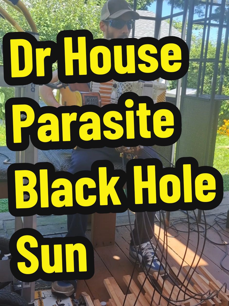 Dr House! The patient has a parasite in his eye . You need to destroy it with god's frequencies 🪗🎸 #blackholesun #soundgarden #chriscornell #drhouse #housemd #doctorhouse #hughlaurie #weirdal #weirdalyankovic #funny #talent #accordion #guitar #harmonica #viral