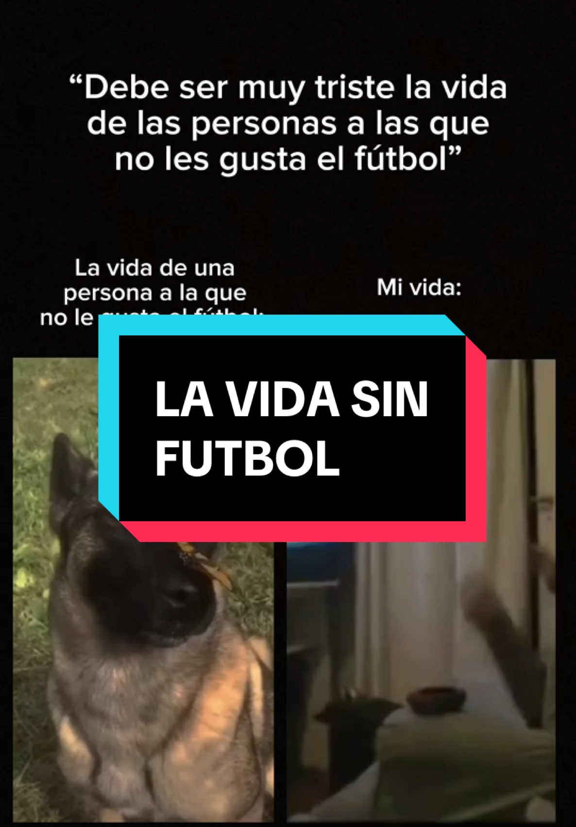 Aún así, te tqm fútbol. 😂⚽️ #tiktokfutbol #tiktokcomedia #tiktokdeporte #plantilla #fut 