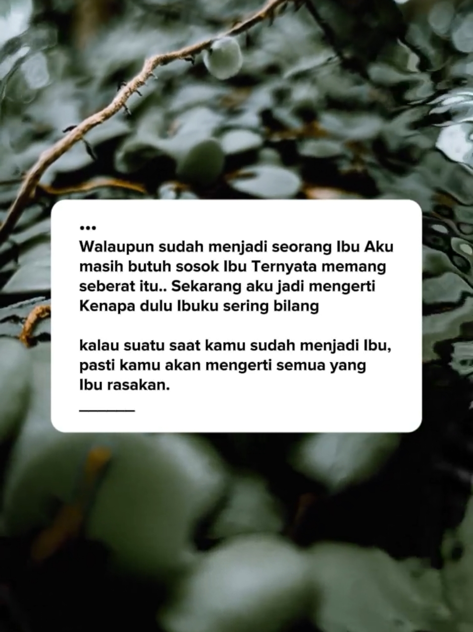 #CapCut #viraltiktok #qoutes #status #daily #storytime #viral #snapwa #katakatamotivasi #storywa 