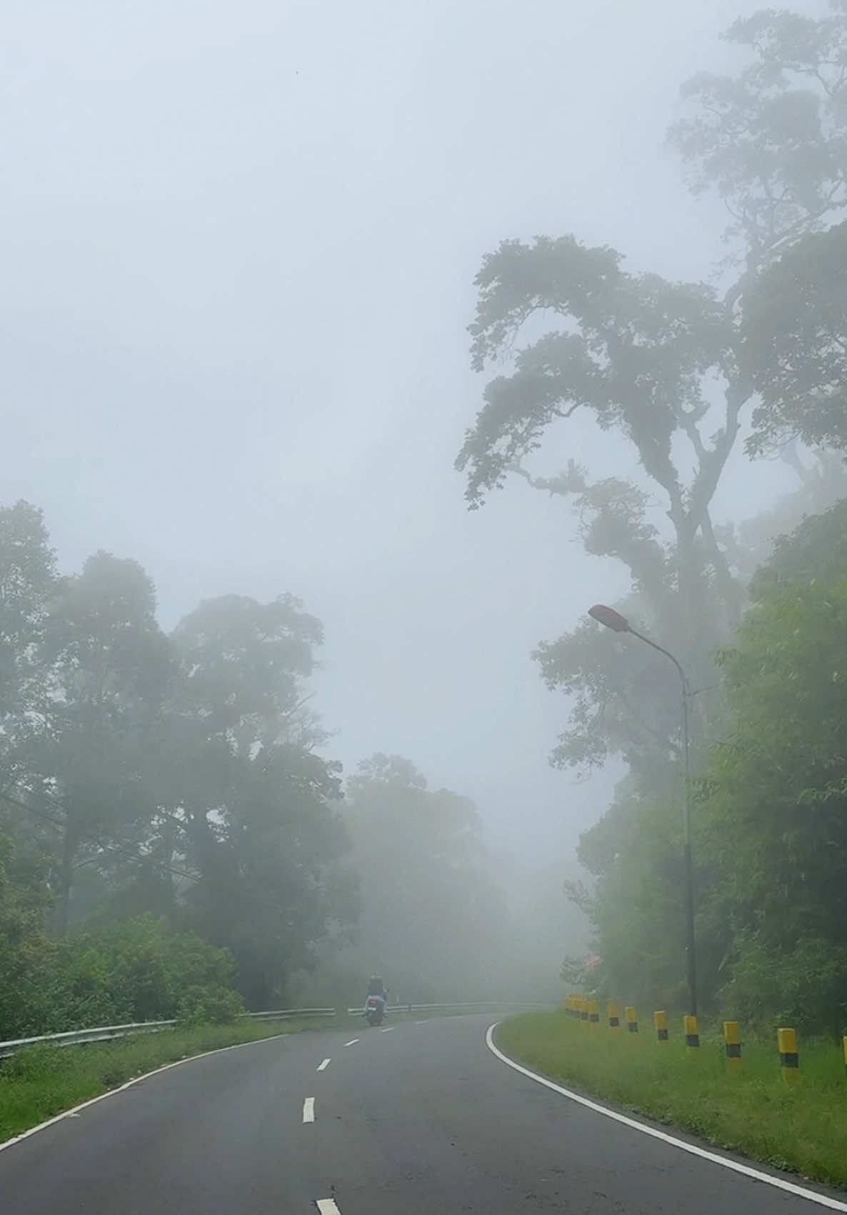 Aku kamu + kabut TW 🍃 #tawangmangu #fyp #kabut #aestheticvibes #bahanswmu 