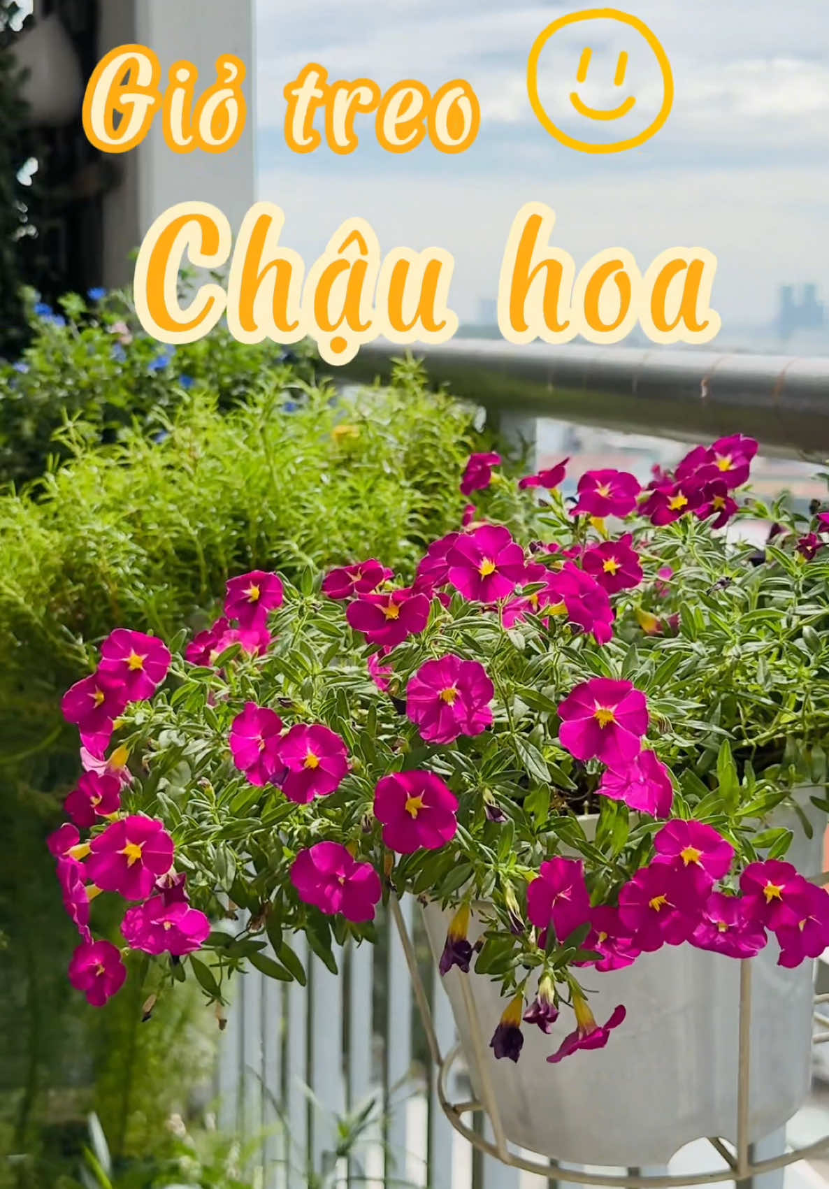 Chuẩn bị trồng hoa đón tết nè mn #giosattreohoabancong #chuyennhasurot 