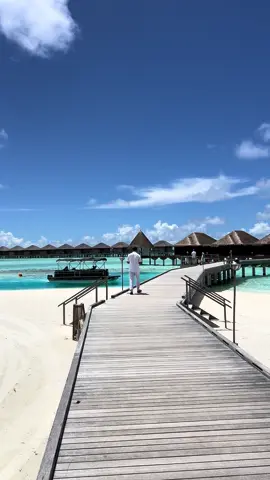 มัลดีฟส์ #มัลดีฟส์ #maldives #tiktokพาเที่ยว #โอ้พาเที่ยว  #โอ้พาเที่ยว #เที่ยวต่างประเทศ #ทะเล #maldivesbeach 