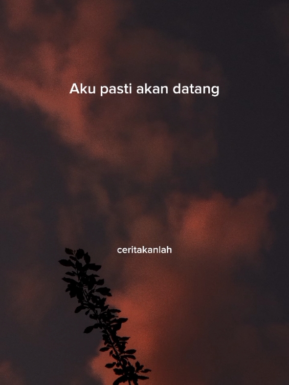 aku pasti akan datang . kata kata romantis . kata kata hati . kata kata menyentuh hati . ceritakanlah . kata kata mutiara . kata kata motivasi . kutipan . puitis #puitis #kutipan  #katakatabijak96  #ceritakanlah 