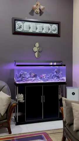 The beautiful world of aquascaping✨  #aquascape #aquarium #aquariumfish #cichlidtank #cichlid #stone #seiryustone 