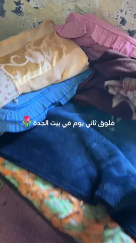 للي حبو يشوفون البيت كامل #fyp #فيفاء_جارة_القمر #سنابي_بالبايو🤍 