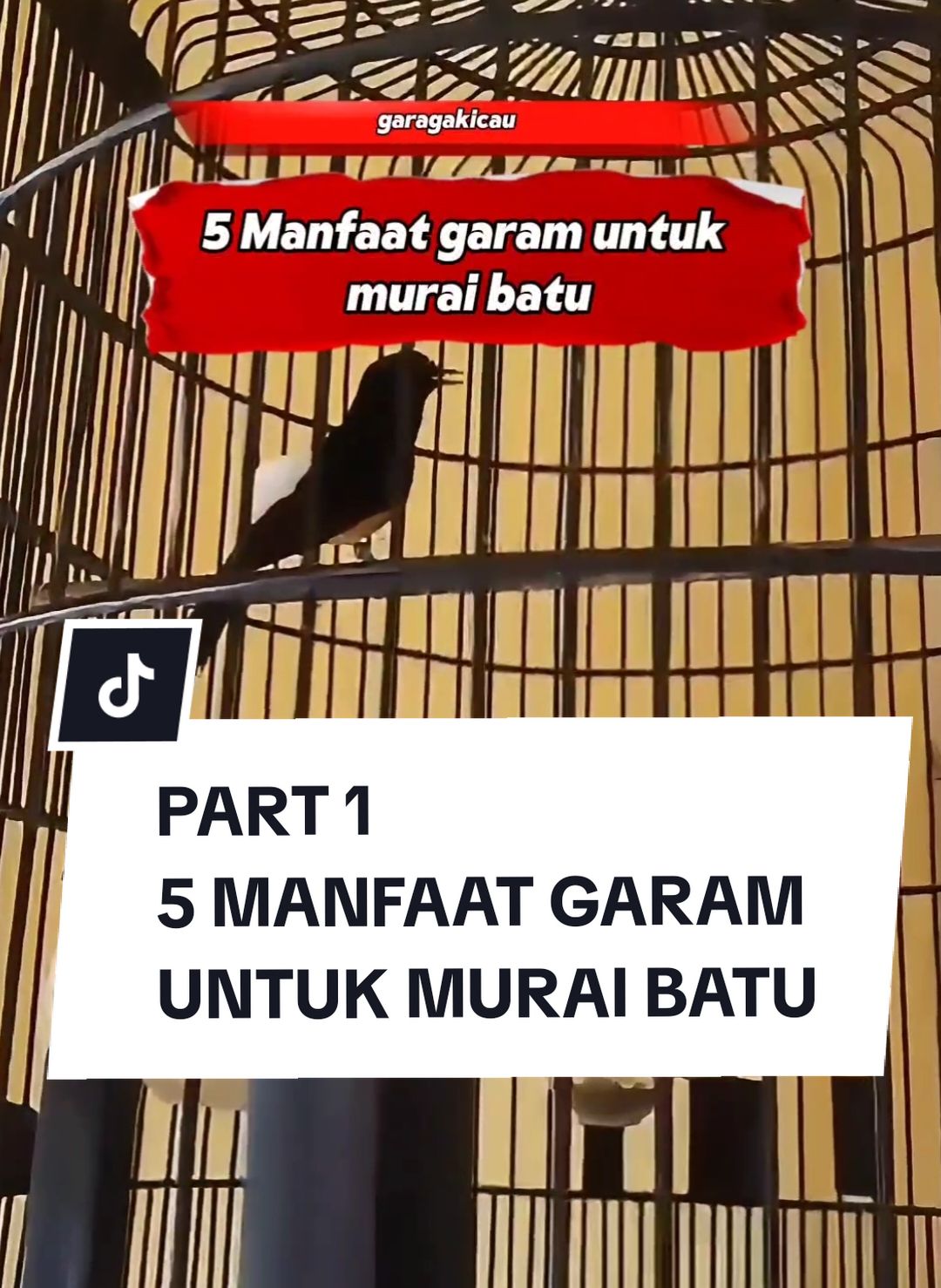 Sudah memasuki akhir bulan om😁 Happy shopping omku 🥰 #tipsandtricks #kicaumania #foryou #fypシ #fyp #fypppppppppppppppppppppp #muraibatuindonesia #murai #tips #viral #viralvideo #affiliate 