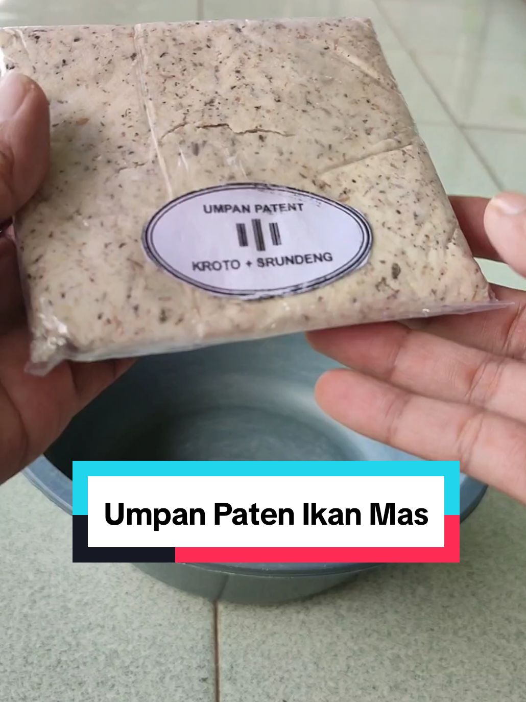 mancing ikan mas pakai umpan jadi paten, sudah ada krotonya #umpanmancing #umpanmancingikanmas #umpangacor #umpanjitu #umpan #megaguncang1212 