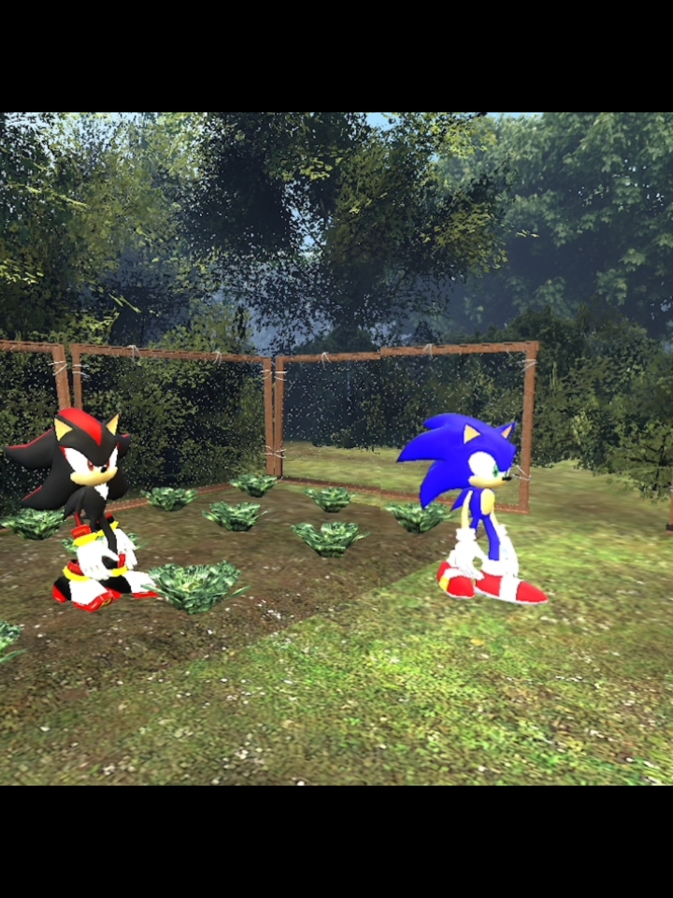 А всех не волнует что он ел капусту? #рекомендации #fyp #meme #sonic #garrysmod #соник #мемы #2024 #шедоу #shadow 