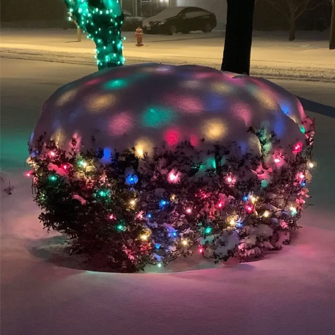 fallen snow on christmas lights