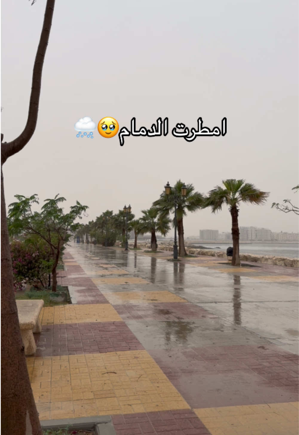 امطرت الدمام🥹🌨️#امطار_الدمام#الدمام#امطار_الشرقية#الدمام_الخبر #امطار_الخير #explore #explorepage #fyp#fyppag#dammam