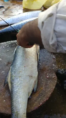 Rawas Fish Cuting  Home delivery Available  Contact Number In YouTube channel Yt link in bio  #karachifishpriceupdate #foryou #foryoupage #fyp #standwithkashmir 
