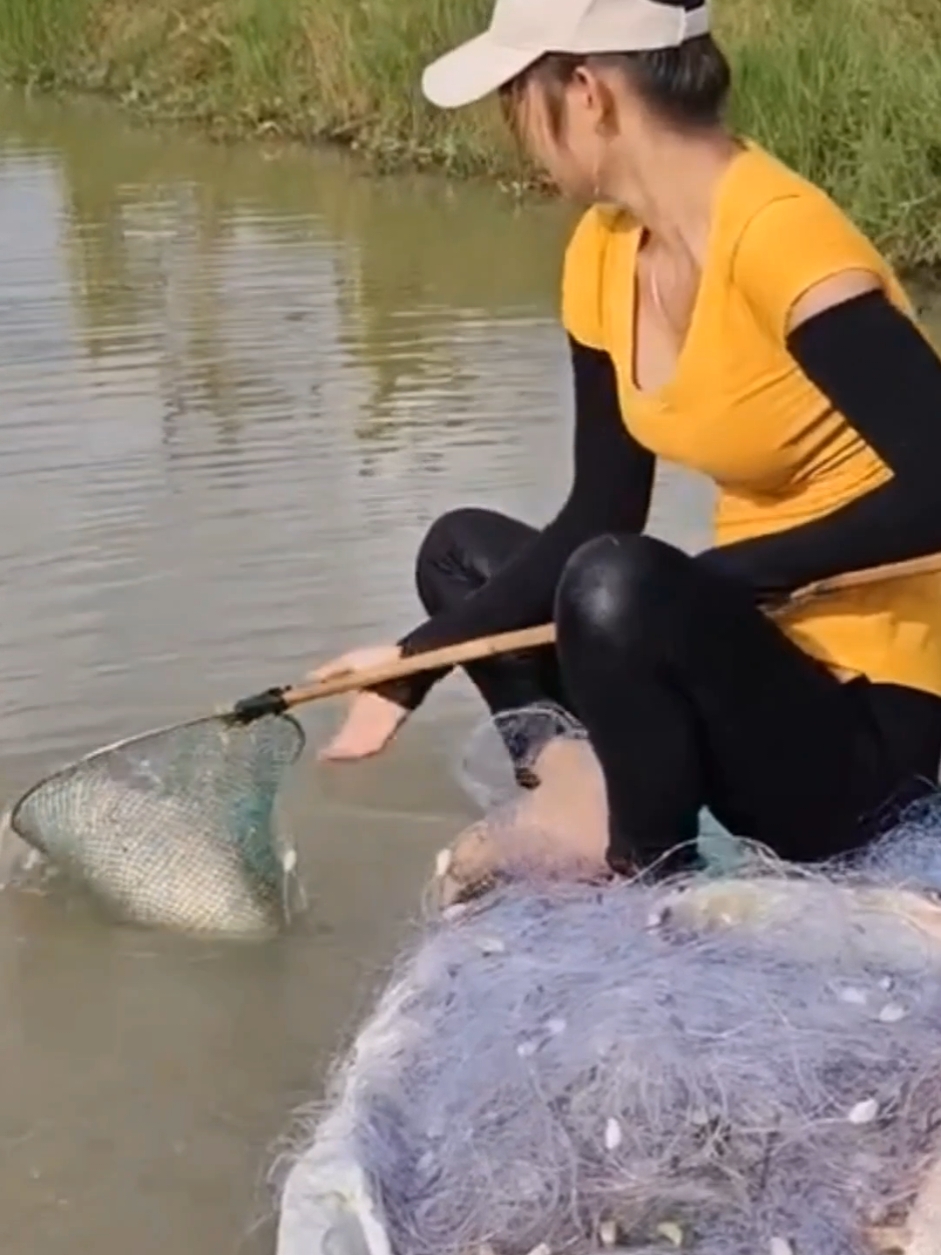 Net caught big fish in the river #thonnugaique #gaique #thonnu #fishing #girlfishing #catching #catchingfish #girlcatchfishing #hunting #trend #viral #girl 