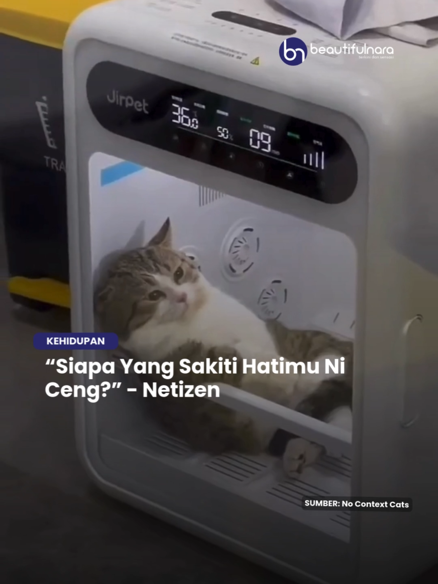 Baru kena reject dengan kucing sebelah ke ceng? 🥹 #NaraViral #NaraTrending #trendingnewsmalaysia #sembangentertainment #videoviral #kucing