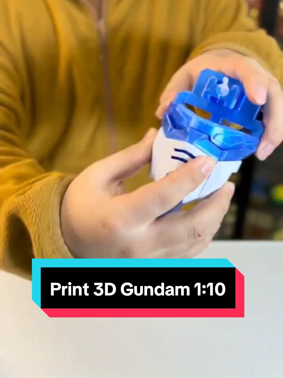 Print 3D Gundam 1:10