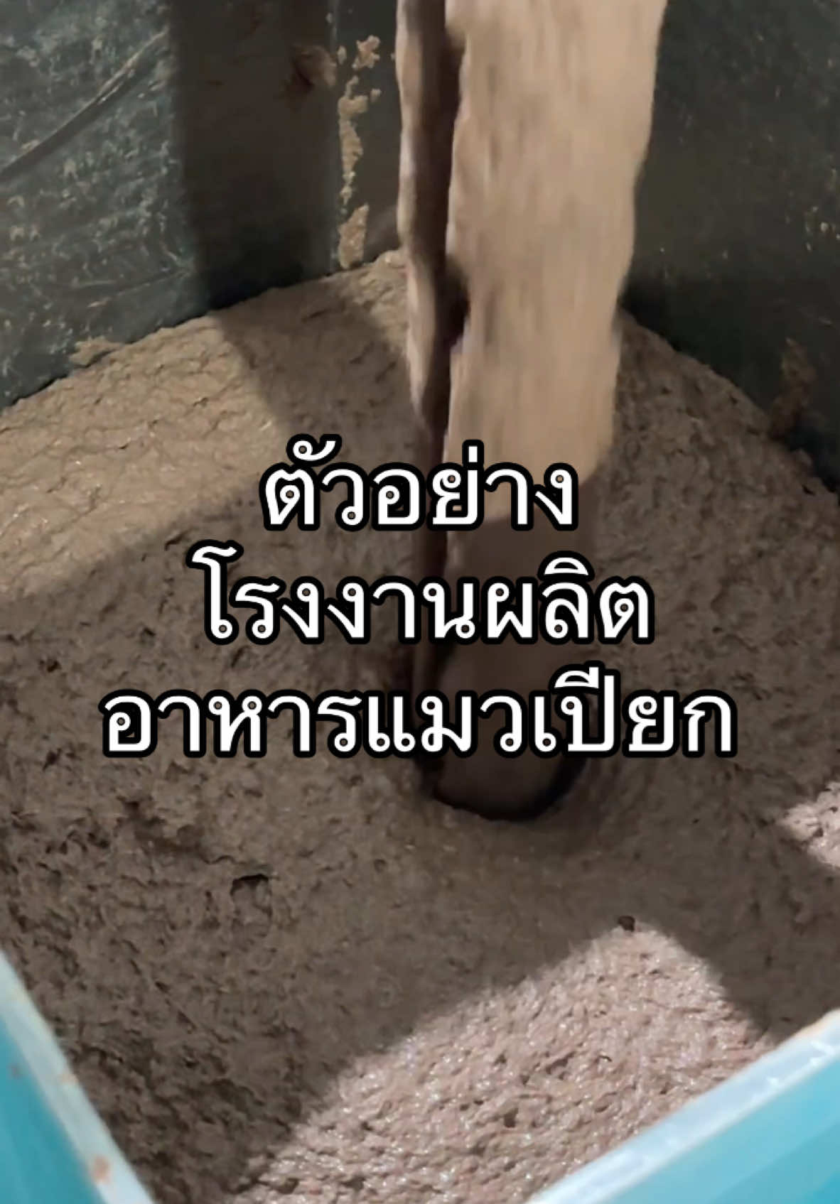 อยากเห็นก็จัดให้ เร็วๆนี้ #อาหารแมว #เปียกแมว #ผู้บริโภค #อาหารแมวเปียก #แมวส้ม @Bluefalo Petcare 