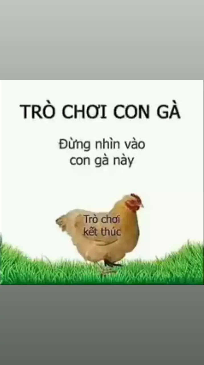 thử thách không nhìn con gà #meme #memes #memetiktok #memehay 