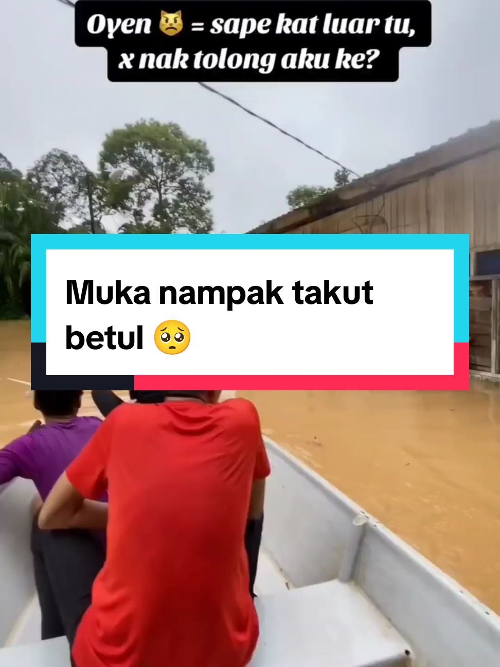 Kesian oyen, nasib baik ada yang tolong..muka nampak takut betul 🥺#malaysianupdate #malaysianupdatenews #malaysianupdateofficial #fyp #viral #oyen #cat #meow #kucing