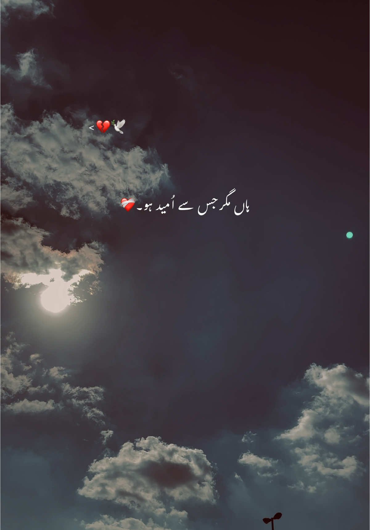 𝑹𝒆𝒑𝒐𝒔𝒕 𝒓𝒆𝒒𝒖𝒆𝒔𝒕 ❤️‍🩹🥹#hehe #fyp #video #urdupoetry #lines #growmyaccount #aesthetics #viral_video 