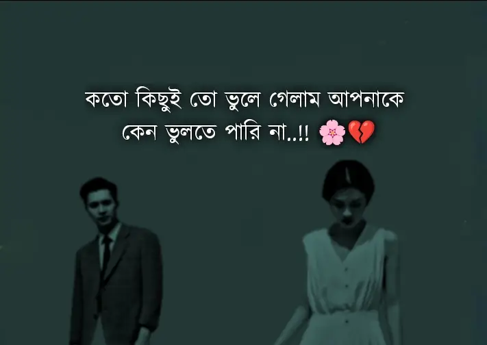 #starLinkforBangladesh #vairal #video #fyp #foryou #foryoupage #500k #views #hovenier #tiktok ইনশাআল্লাহ foryou তে যাবে 🥀🥀💝💝💖@TikTok Bangladesh