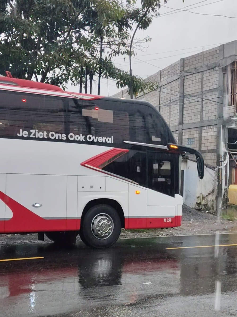 Bus M-Trans 1K keberangkatan sore dari Kesamben (15.30). hayo tebak berapa ya total armada M-Trans ke Denpasar yang lewat Kesamben? #fyp #mtrans #fypシ゚ #busbali 