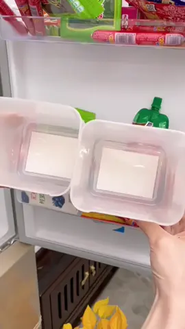 Refrigerator side door storage box-plastic sturdy fridge organizer box #household #homehacks #goodthing #refrigerator #fyp #tiktok 