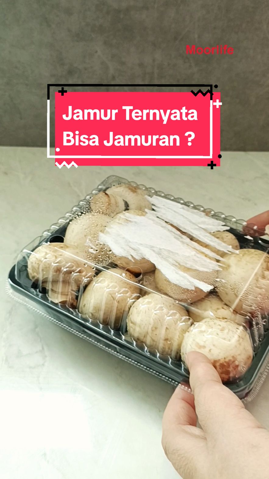 Fakta menarik tentang jamur nih😱😱 #tipsjamur #jamur #moorlife #moorlifepilihanku #giveawaymoorlife #giveaway 