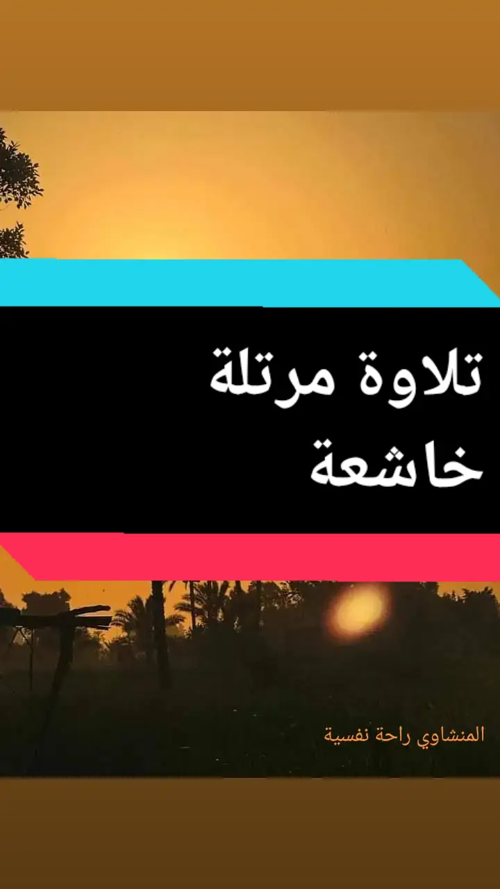 #قران_كريم #القران_الكريم #المنشاوي #محمد_صديق_المنشاوي #vira #fyp @مشاري راشد العفاسي @cznburak @Abir el saghir