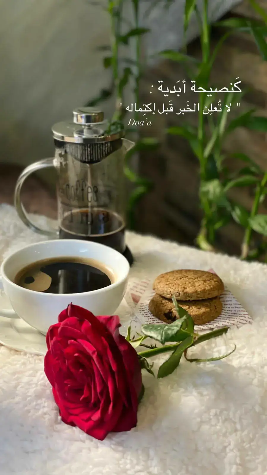 #مسائكم_سعادة_وعافية_وراحه_بال #قهوتي_عشقي #☕❤ 