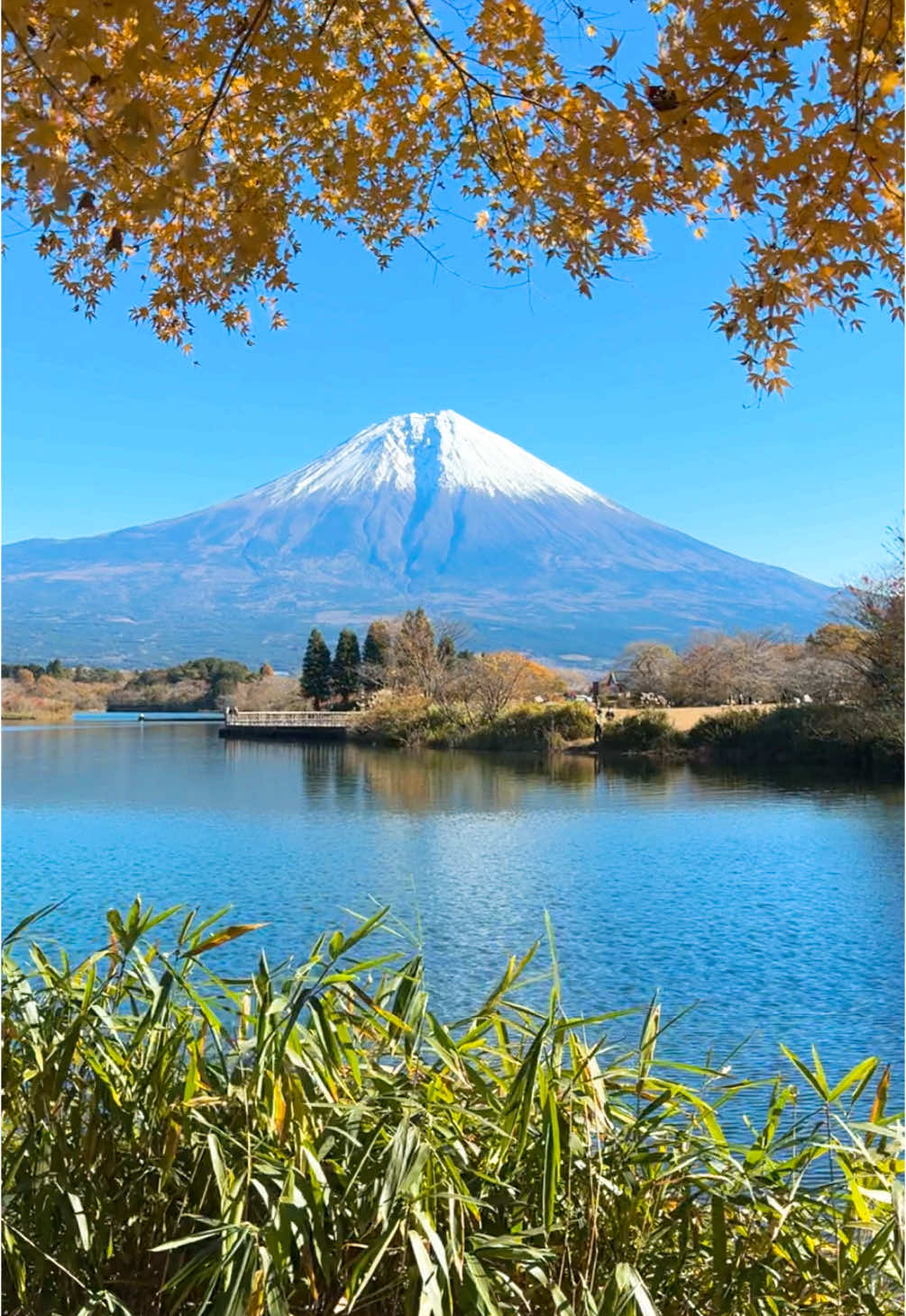 📍田貫湖　Lake Tanuki