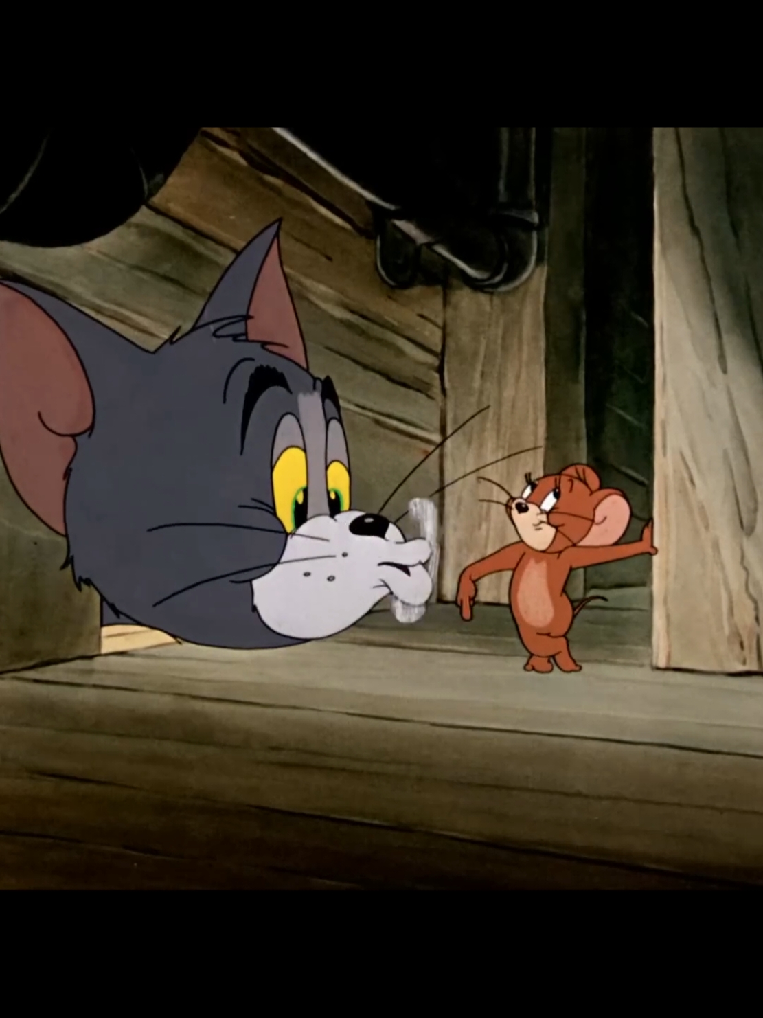 #cartoon #tomandjerry #tomandjerry 