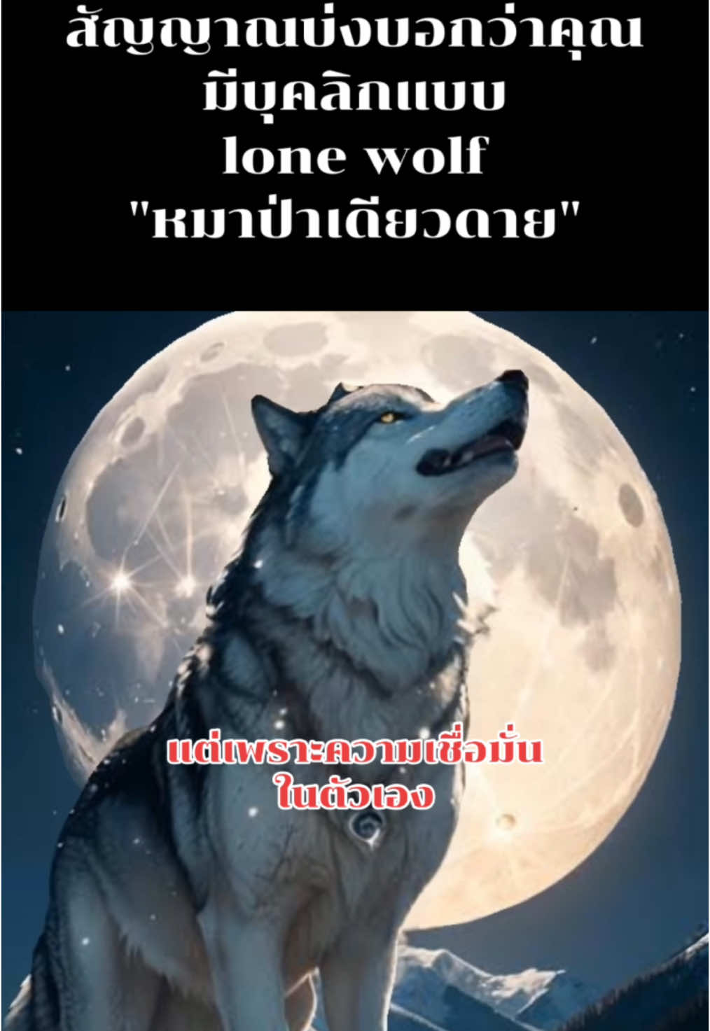 #บุคลิกภาพ #lone_wolf #หมาป่าเดียวดาย #การใช้ชีวิต #คําคมชีวิต #ไม่กลัวที่จะโดดเดี่ยว #บุคลิกภาพแบบlone_wolf 