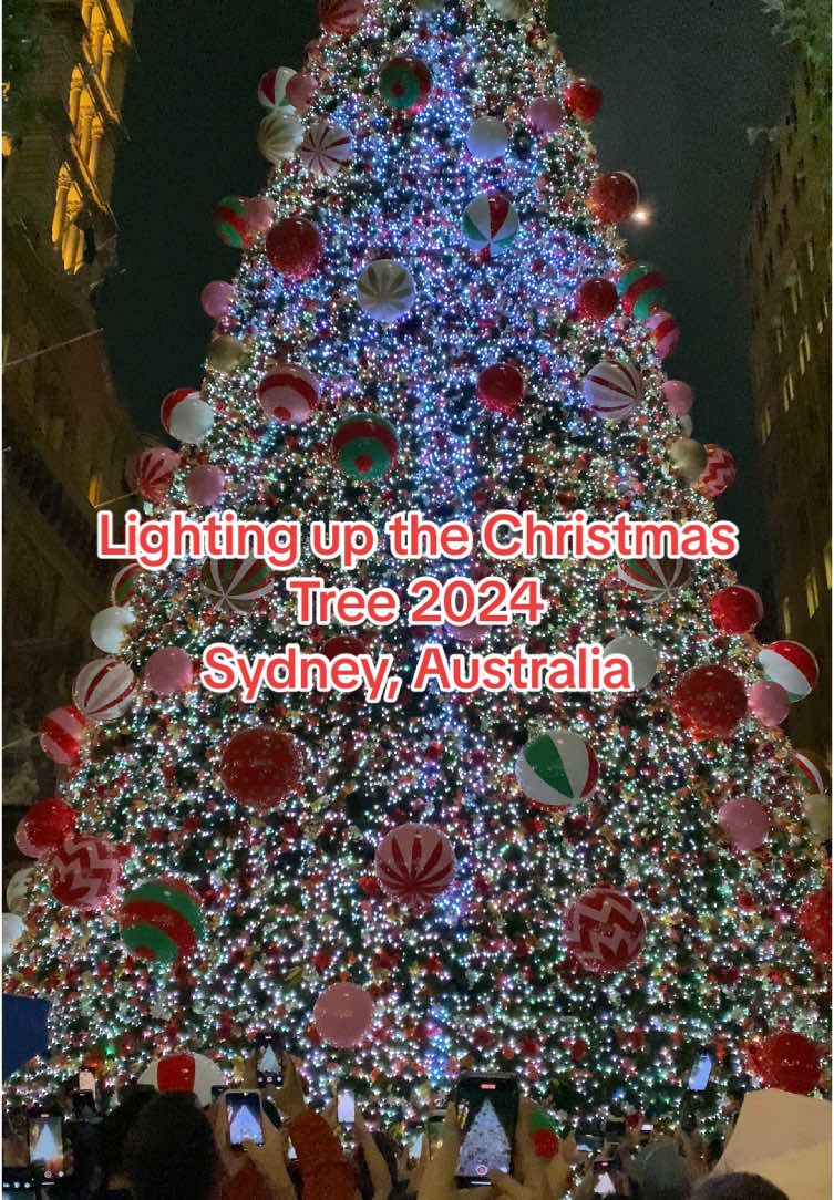 Lighting up the Christmas Tree 2024🎄🎅💡. Sydney, Australia🇦🇺. #sydney #sydneyaustralia #australia #walkinginsydney #sydneylife #city #citylife #推荐 #推薦 #悉尼 #圣诞节 #foryou #foryoupage #fyp #viral #viraltiktok #martinplace #martinplacesydney #sydneycbd #christmas #christmastree #lightingup 